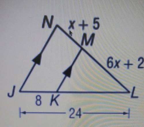 How would you solve this similar triangle equation?
