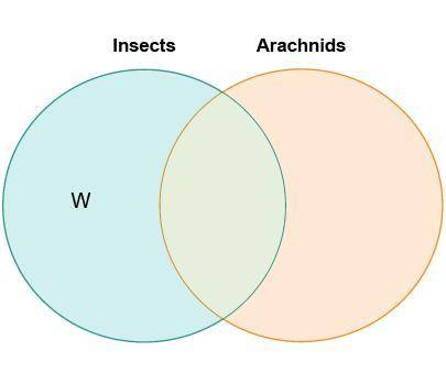 Damien drew a diagram to compare insects and arachnids.

Which belongs in the area labeled W?
two