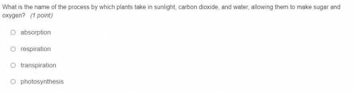 What is the name of the process by which plants take in sunlight, carbon dioxide, and water, allowi