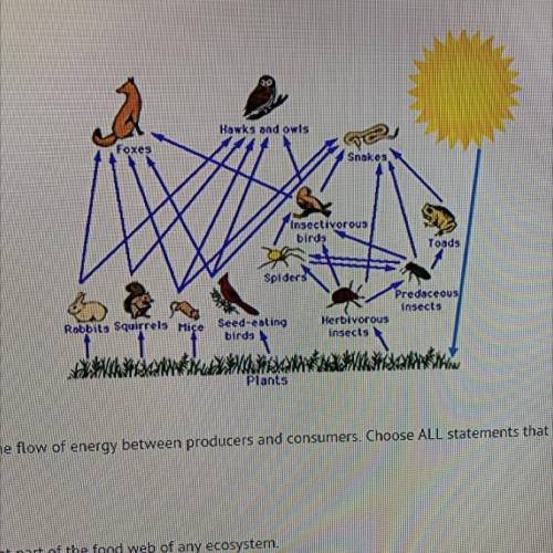 This food web shows the flow of energy between producers and consumers. Choose ALL statements that
