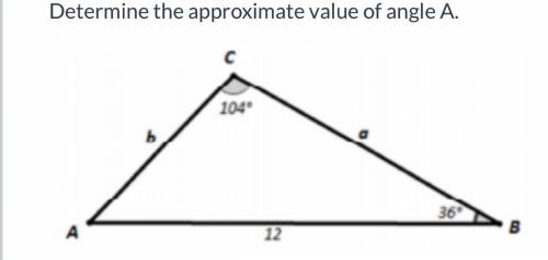 Determine the approximate value of angle A.