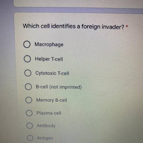 Which cell identifies a foreign invader