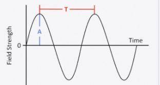 Identify the type of wave in the picture please asap