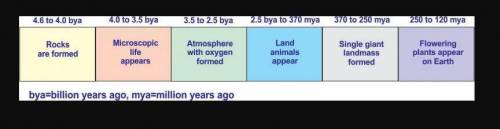 The diagram below shows a portion of the geologic time scale. Based on the time scale, it can be co