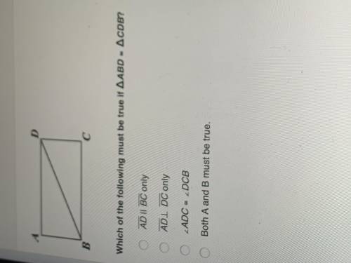 WHAT IS THE ANSWER!!
someone please help