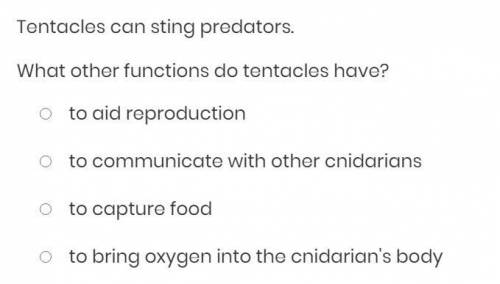 Tentacles can sting predators. What other functions do tentacles have?