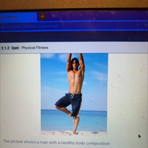 The picture shows a man with a healthy body composition.
A. True
B. False
PREVIOUS
