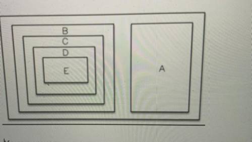 The graphic organizer represents the set of all real numbers. What could be the
value of D?