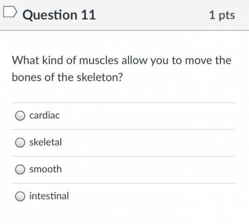 What kind of muscles allow you to move the bones of the skeleton?