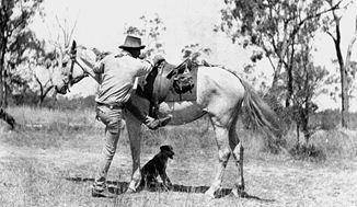 Analyze the photo below and answer the question that follows.

Which cultural icon of Australia is