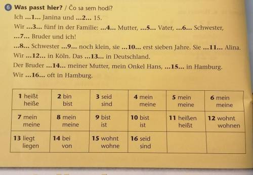 Can you pls help me with German plssss