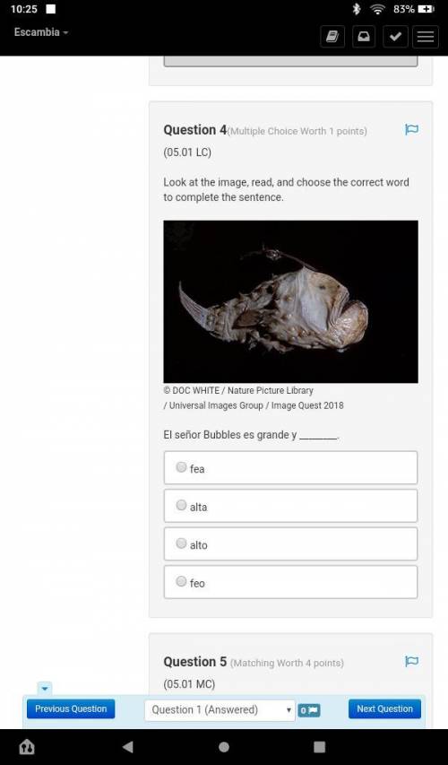 Look at the image, read, and choose the correct word to complete the sentence.

A very ugly fish