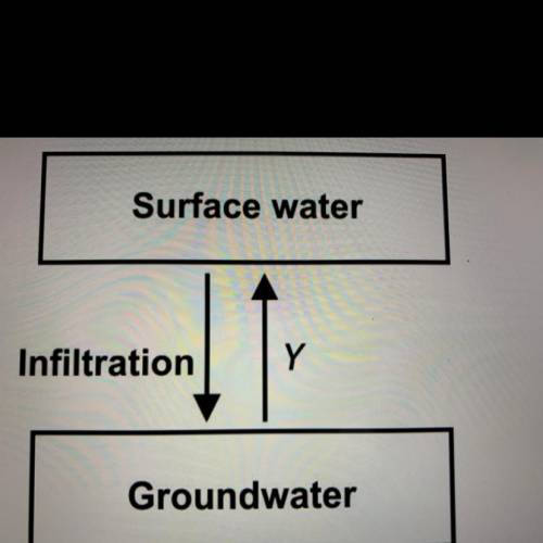 WILL GIVE BRAINLIEST IF CORRECT

The diagram below shows a portion of the water cycle. What does Y