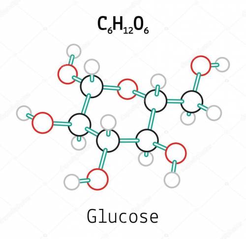 Help!

(Chose all the right answers) 
Glucose is made of molecules with the chemical formula seen