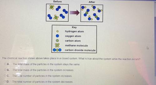 The chemical reaction shown above takes place in a closed system. What is true about the system whi