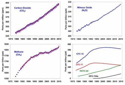 These graphs show a change in four types of greenhouse gases from 1975 to 2015. Based on the result