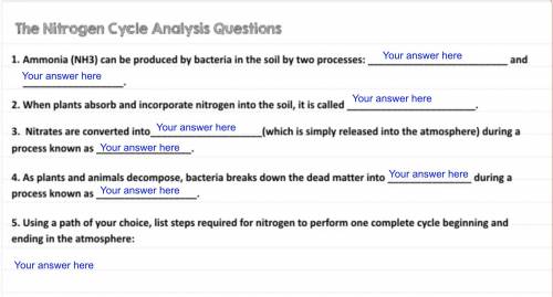 the nitrogen cycle analysis questions fill in the blanks please help with as many as possible much