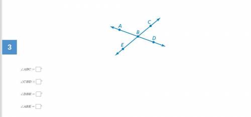 Use the protractor to measure each angle formed by the intersecting lines.