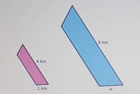If these two shapes are similar, what is the measure of the missing length w?
