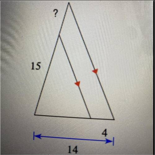 Solve for the missing side length
Need help please