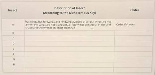 Question 2

This image shows nine different insects
Use this dichotomousky to identify the taxonom