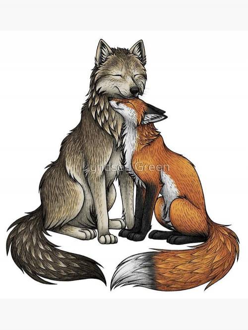 Can wolfs and foxes be together??