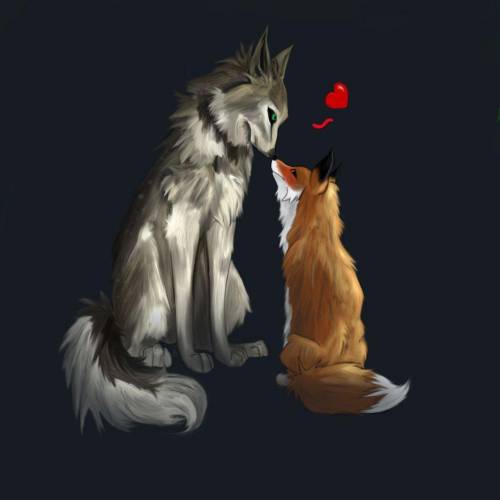 Can wolfs and foxes be together??