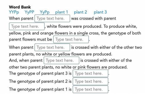 Identify Parent Genotypes

Using the terms in the word bank, complete the paragraphs. You may use
