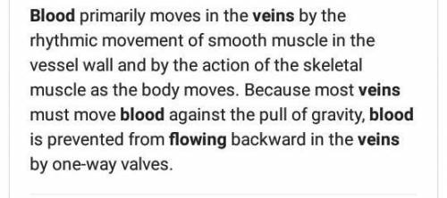 How does blood flow in the veins?