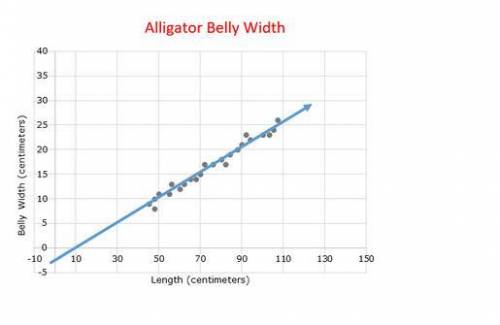 The scatterplot models the relationship between the length of a Louisiana alligator and the width o