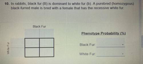 PLEASE HELP IVE BEEN ON THIS QUESTION FOR 30 mins