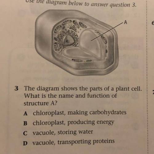 Use the diagram below to answer question 3.

А
3 The diagram shows the parts of a plant cell.
What
