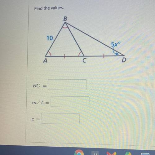 I need to know please help