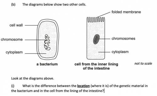Plz help me with this cells question