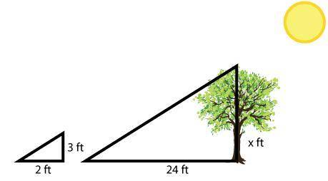 A tree casts a shadow that is 24 ft in length. A 3 foot stick casts a shadow that is 2 ft in length