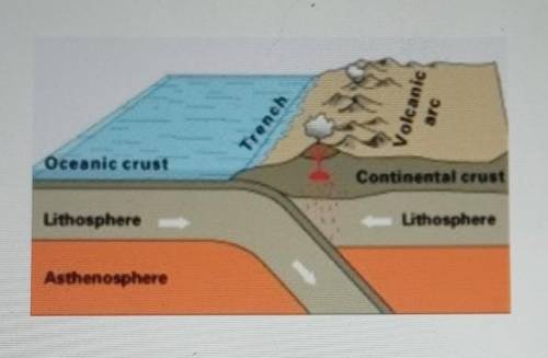 Match each feature on Earth with the correct plate boundary.

You know that Earth's crust is divid