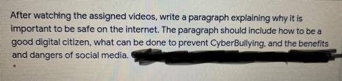 Can anybody help with the paragraph about internet safety.? Please....