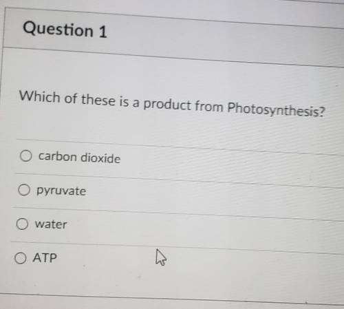 Which of these is a product from Photosynthesis?