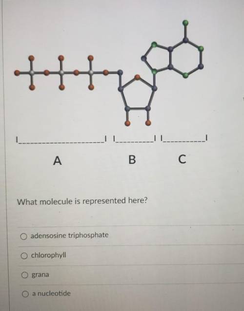 What molecule is represented here?