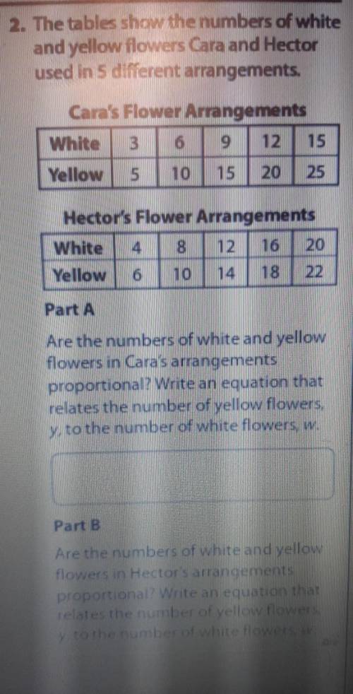 The tables show the numbers of white and yellow flowers Cara and Hector used in 5 different arrange
