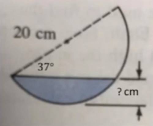 What is the depth of the soup ( the area shaded) 20cm is the diameter?