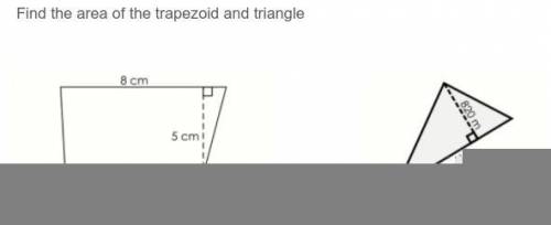 Find the area of the trapezoid or the triangle or both thx