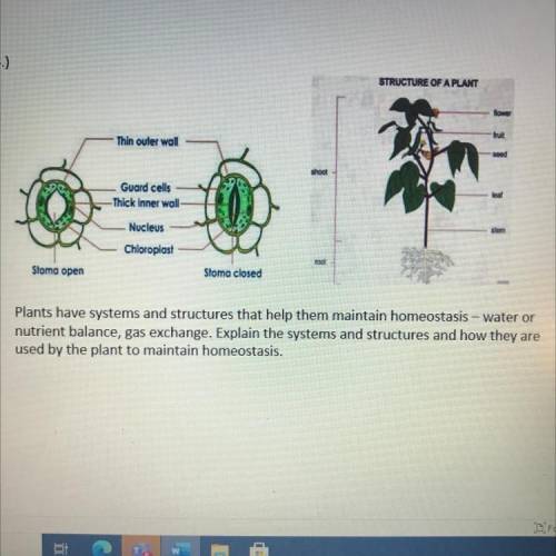 Plants have systems and structures that help them maintain homeostasis - water or nutrient balance