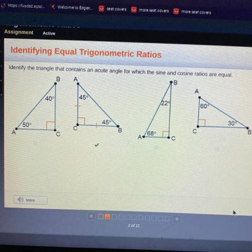 Identify the triangle that contains an acute angle for which the sine and cosine ratios are equal.