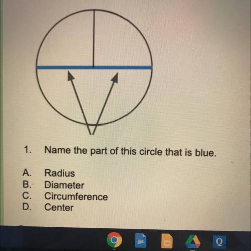 I need helppp what is the blue line called in the circle??