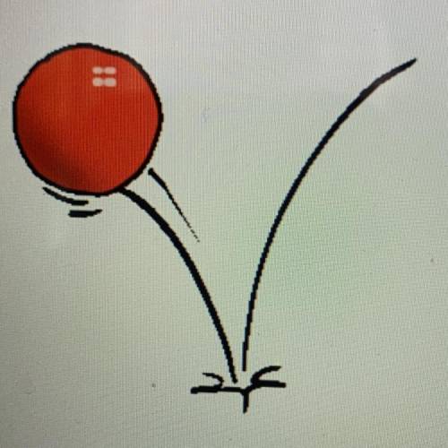 Look at the picture of a ball bouncing. Which of the following best illustrates that energy has bee