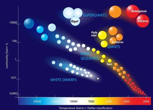 Our Sun will eventually turn into a red giant and, finally, a white dwarf. Use the Hertzsprung-Russ