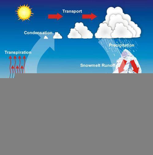 URGENT! Look at the image of the water cycle. Imagine that a farm uses nitrogen based fertilizer to