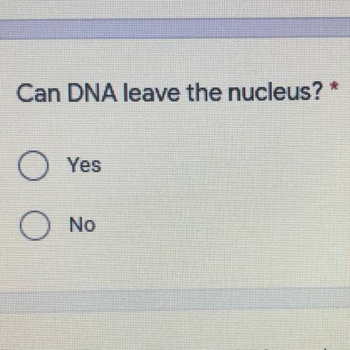 Can DNA leave the nucleus ? 
Yes 
Or 
No