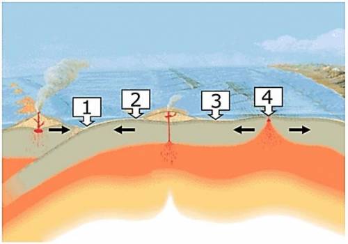 The diagram represents several plate boundaries and the common crustal features that result from te
